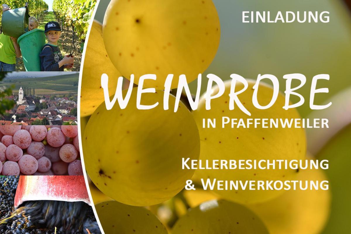 Апартаменты Am Weinberg - Stilvoll, Ruhig, Zum Wohlfuehlen Пфаффенвайлер Экстерьер фото